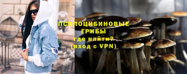 apvp Алексин