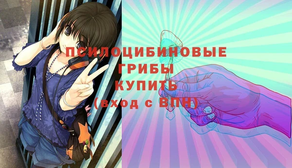 apvp Алексин