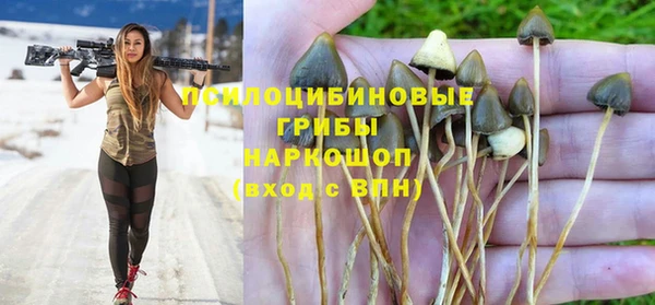 дмт Семёнов