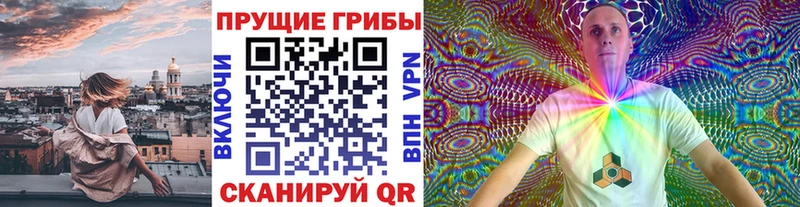 закладки  Суджа  Псилоцибиновые грибы мицелий 