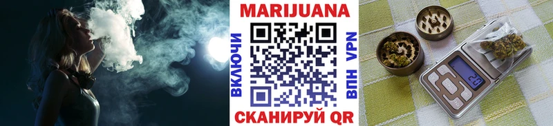 Канабис планчик  Суджа 
